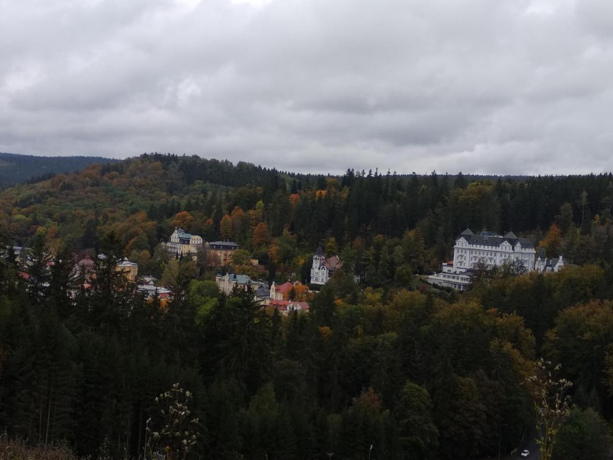 Apartman Friedrichsruh Daire Mariánské Lázně Dış mekan fotoğraf