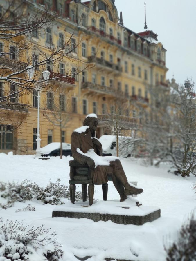 Apartman Friedrichsruh Daire Mariánské Lázně Dış mekan fotoğraf