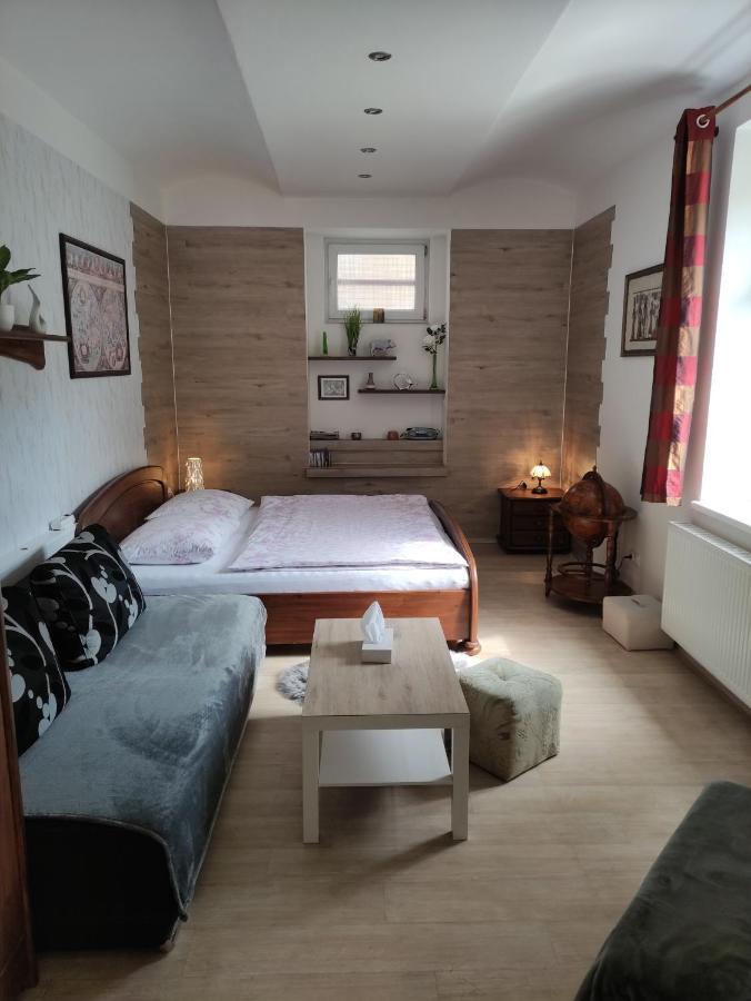 Apartman Friedrichsruh Daire Mariánské Lázně Dış mekan fotoğraf