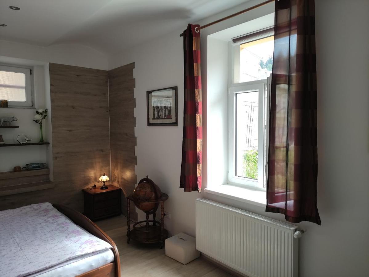 Apartman Friedrichsruh Daire Mariánské Lázně Dış mekan fotoğraf