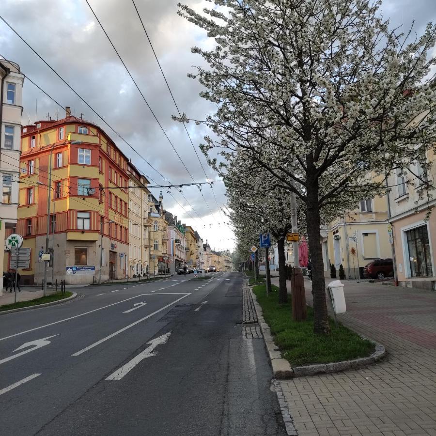 Apartman Friedrichsruh Daire Mariánské Lázně Dış mekan fotoğraf