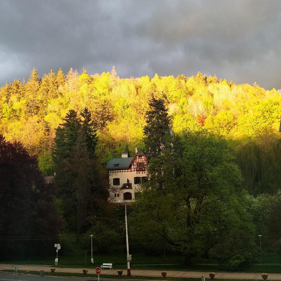 Apartman Friedrichsruh Daire Mariánské Lázně Dış mekan fotoğraf