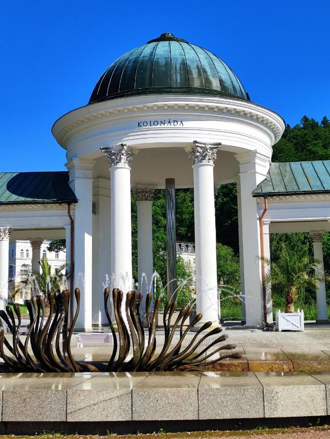 Apartman Friedrichsruh Daire Mariánské Lázně Dış mekan fotoğraf