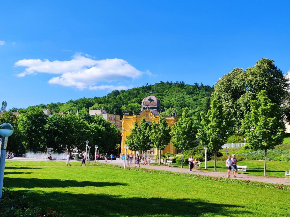 Apartman Friedrichsruh Daire Mariánské Lázně Dış mekan fotoğraf
