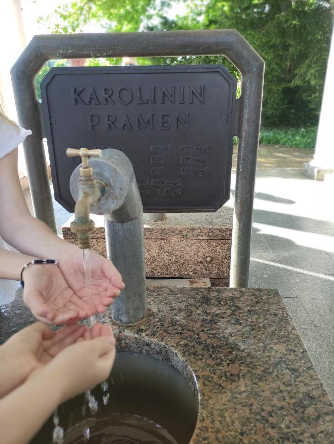 Apartman Friedrichsruh Daire Mariánské Lázně Dış mekan fotoğraf