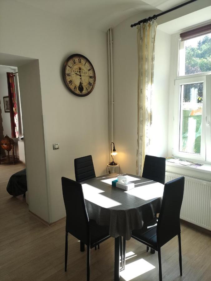 Apartman Friedrichsruh Daire Mariánské Lázně Dış mekan fotoğraf