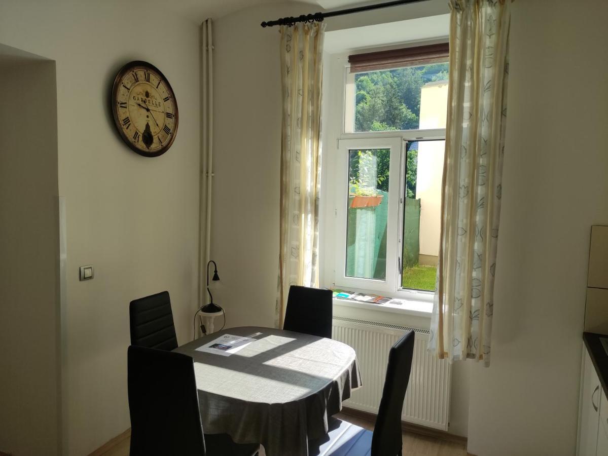 Apartman Friedrichsruh Daire Mariánské Lázně Dış mekan fotoğraf