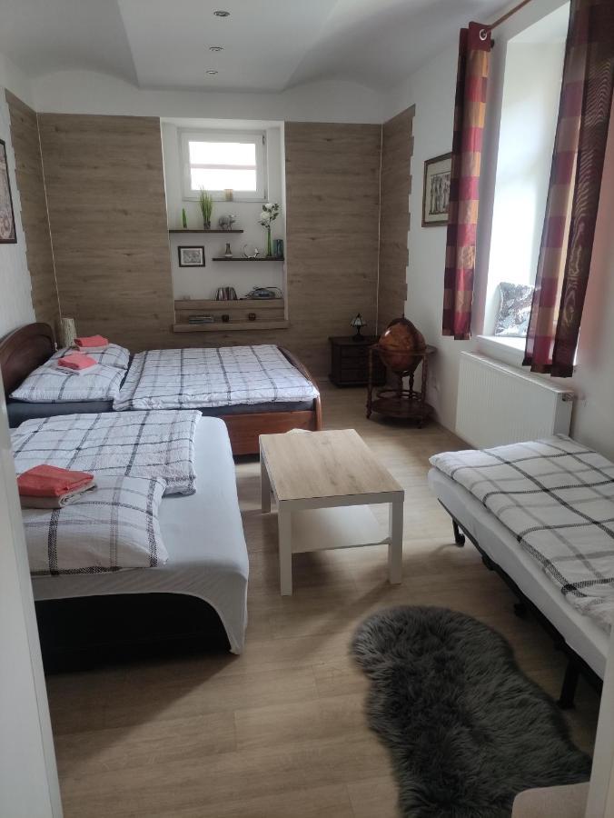 Apartman Friedrichsruh Daire Mariánské Lázně Dış mekan fotoğraf